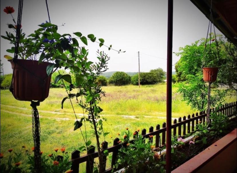 The Happy Cottage Янина Экстерьер фото